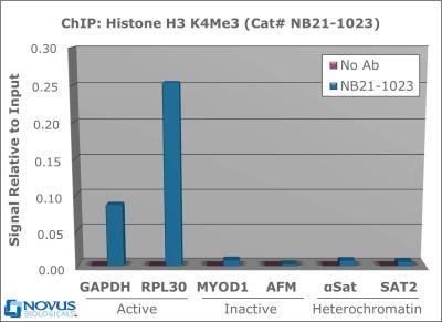 1 Updated 11/20/2018 Chromatin Immunoprecipitation: Histone H3 [Trimethyl Lys4] Antibody [NB21-1023] - Chromatin from one million formaldehyde cross-linked Hela