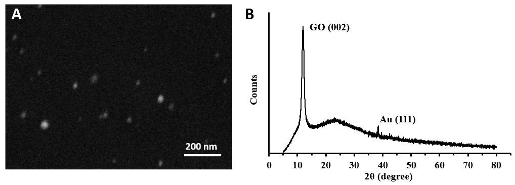 Fig. S1. A) XRD patterns of GO (black) and rgo/au FS microelectrodes (red).