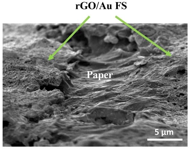 Fig. S3. SEM image of a damaged area of femtolaser-written rgo/au FS microelectrode at a laser power of 200 mw.