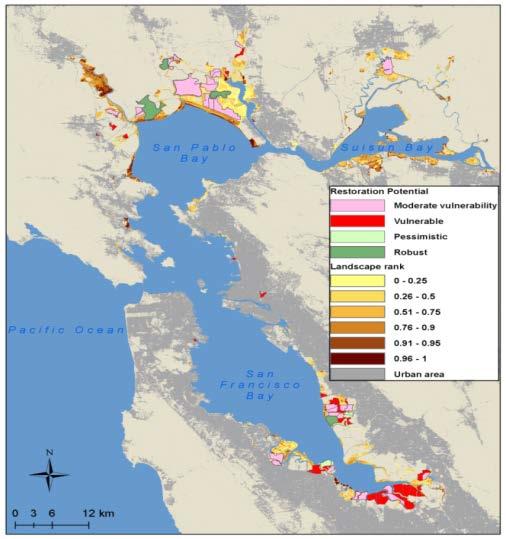 Climate-smart Conservation Future SF Bay Tidal Marshes Facilitates informed decisions about adaptation planning, restoration potential, and land acquisition given
