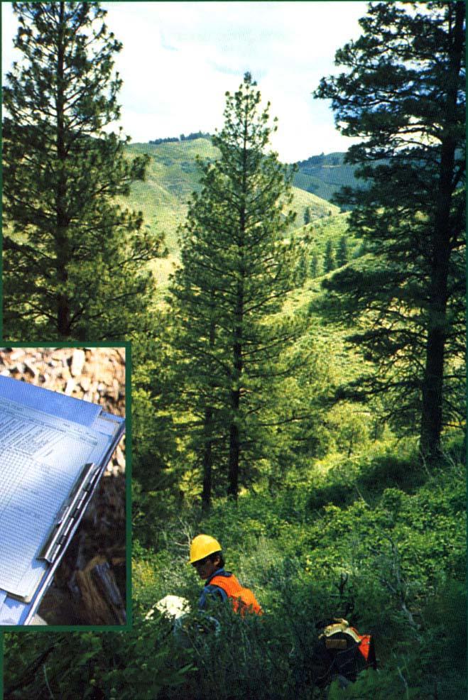 The Intermountain Research Station provides scientific knowledge and technology to improve management, protection, and use of the forests and rangelands of the Intermountain West.