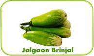 1 Lasalgaon Onion 491 Name of Growers association
