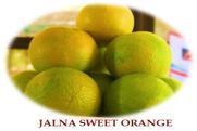 raisins 490 7 Jalna Sweet orange 495 Balaghat Sitaphal