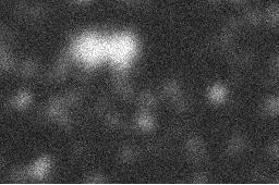 8 C Fe Cr V 2 µm Fig. 6.
