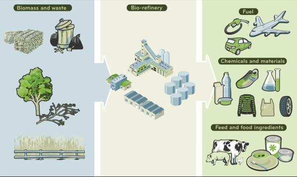 Biomass Conversion; Food, Feed, Fuel, Chemicals and Materials Made from Biomass and Waste A transformational opportunity for Novozymes Turning renewable low-value carbon into high-value product is