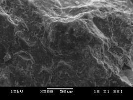8: SEM Image of SFC at different magnification The amount of hydrated cement paste depends on cement and silica fume fineness, w/c ratio and