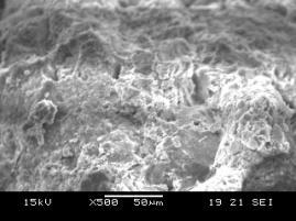 It is observed that the homogeneity has increased in the 4 to 5 µm region near the aggregate face due to the addition of silica fume.