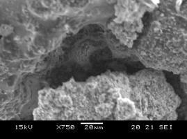 that the size of the silica fume particles was.9 to 1.2 µm.