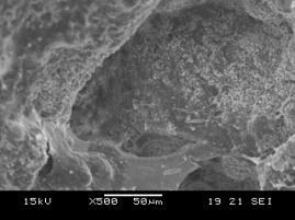 crystalline. Bottom ash concrete: Fig.