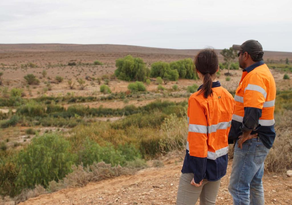 JULY 2018 Wallerberdina Station site study Site characterisation studies at Wallerberdina Station completed Located around 30 kilometres north-west of Hawker is Wallerberdina Station, one of three