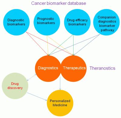 We need words BIOMARKERS Biomarkers are the words used by Translational research 16