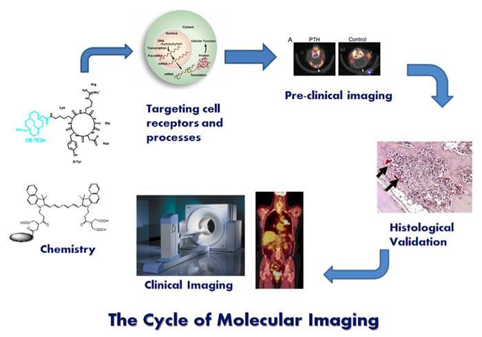 The role of translational research in bioimaging 18