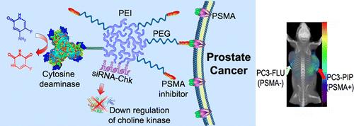 Nanoplex A therapeutic nanoplex containing multimodal imaging reporters was targeted to prostate-specific membrane antigen (PSMA), which is expressed on the cell surface of castrate-resistant PCa The