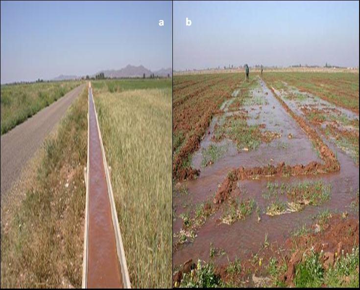 Wheat study Superficie : 5ha Irrigation type :