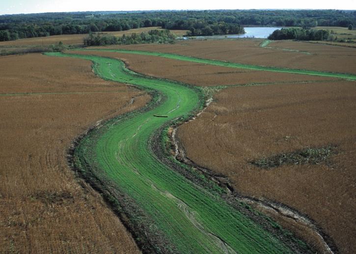 Headwaters Represent most of a typical watershed (reach length) Do not have distinct channels and floodplains Exist as wet gaining reaches or dry losing reaches Channel formation is a gully Upper