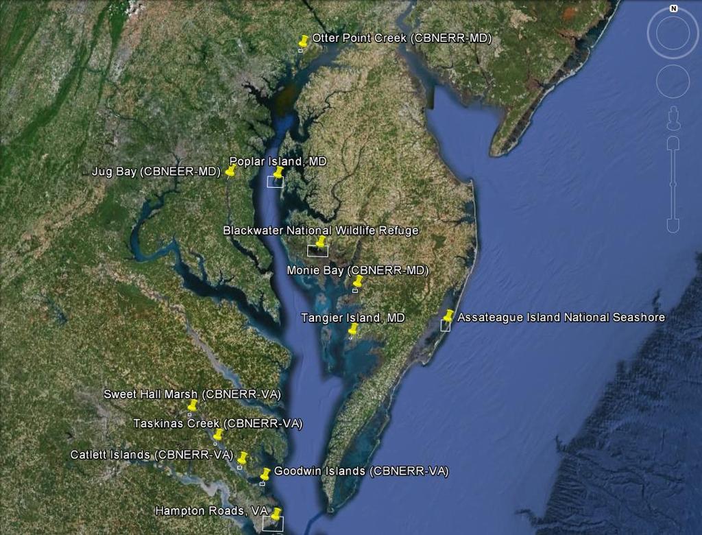 CBSSC Potential Sentinel Sites Blackwater National Wildlife Refuge Assateague Island National Seashore Chesapeake Bay