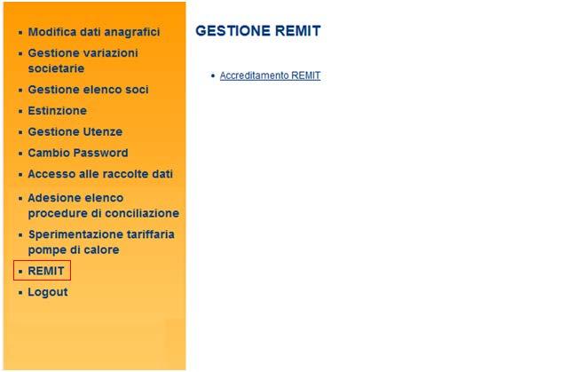 Figure 3: Manage REMIT page 6.