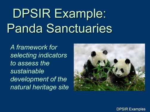 DPSIR Overview - DPSIR Example: Panda Sanctuaries Wei and colleagues used the DPSIR framework to identify key issues and a set of indicators for evaluating sustainability of Giant Panda Sanctuaries