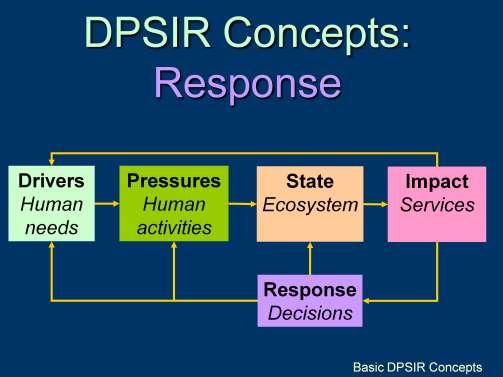 DPSIR Overview - DPSIR Concepts - Response Humans make decisions in Response to the impacts on ecosystem services or their perceived value.