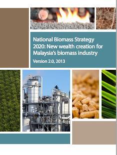 (Maturity) Advocates Portfolio of Uses for Biomass, Location Specific STATUS TO DATE Facilitated companies and promote higher
