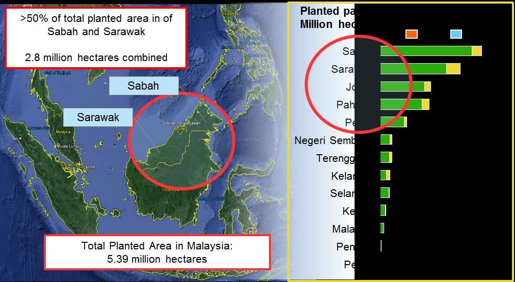 Total Palm Oil Planted Area in Malaysia Oil Palm