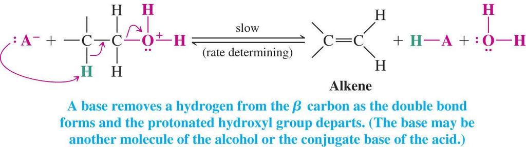 B) 1 o 脫水反應的機制 : E2 Primary alcohols cannot undergo E1 dehydration because of the
