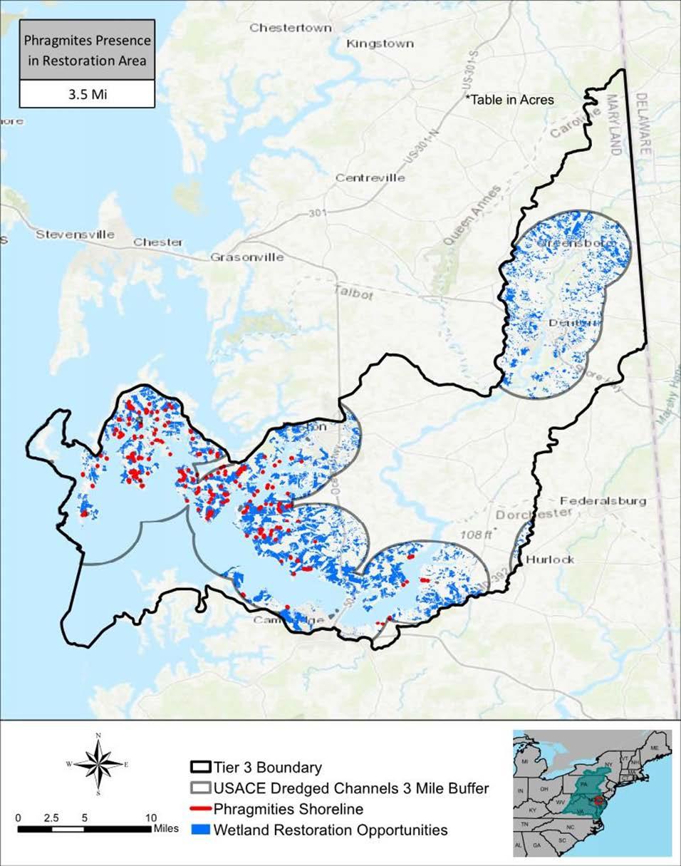 PRELIMINARY RESULTS: WETLAND RESTORATION 25 Further refine to consider marsh migration corridors, Targeted Ecological Areas, Sensitive species habitat,