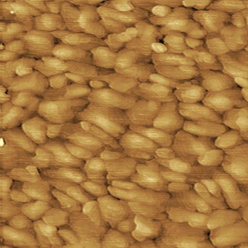 AFM images of the evaporated thin