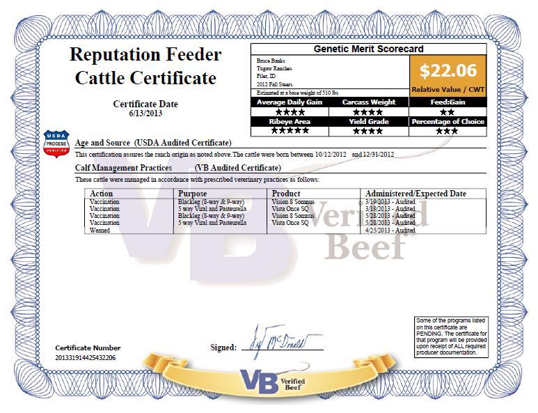 Tugaw Fall 12 Steer Calves Marketed May 31 st Pre-conditioned