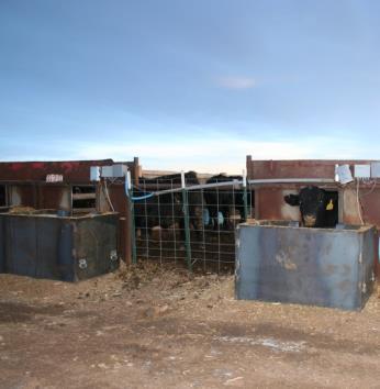 Feedlot Profit Differences How big are the value differences on a 650 pound steer? 35% Conversion 30% Grid 18% Weight 17% Health From as little as $550 to as much as $1175!