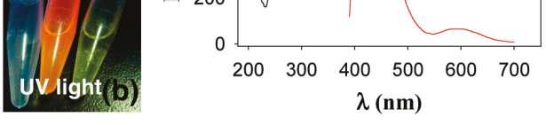 (c) Excitation (black curve, λem = 425 nm)