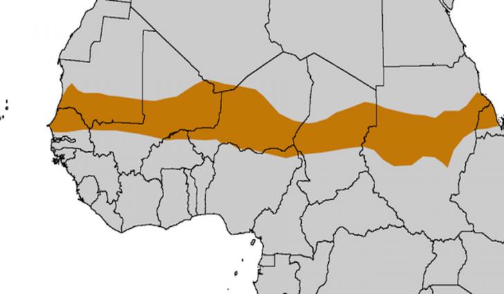 The Sahel The Sahel extends across Africa and separates the Sahara to the north from the tropical grasslands to the south.
