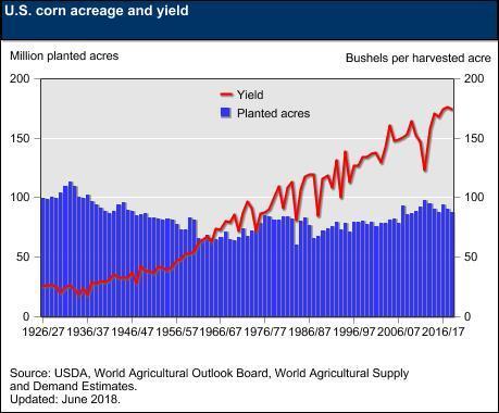 The Future of Ag Waste and Purpose Grown Crops Corn hovers between 85 and 95 million acres in the US Yields are steadily rising and estimated to be 300 bushels per acre