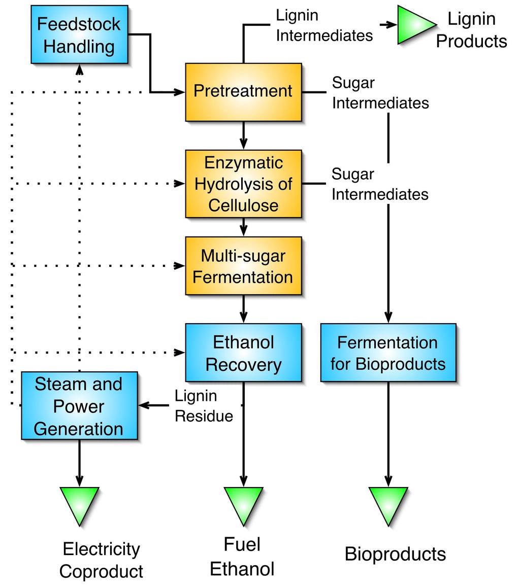 The Conversion Process Value Chain Transport Harvesting