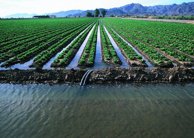 Drip irrigation Flood irrigation Improvements in water