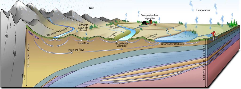 Groundwater in Watersheds Movement and quality depend on geological properties Organized into systems of recharge