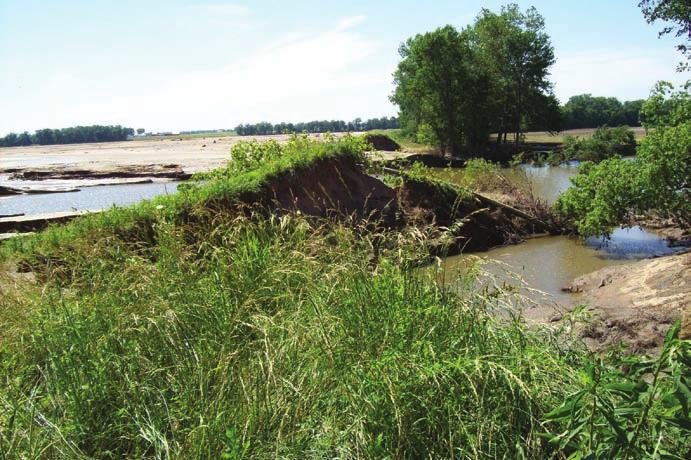 Much of the 2008 corn crop planted by June 8, 2008, on floodplain soils was lost due to flooding, and many areas did not dry out sufficiently for crop planting until after July 15, 2008, making it