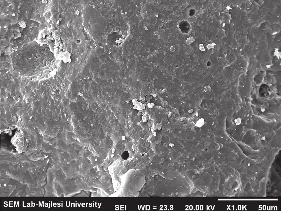 SEM micrograph of the C5 sample after firing. present phases in the cement composition C3 contain CA, CA 2 and spinel.