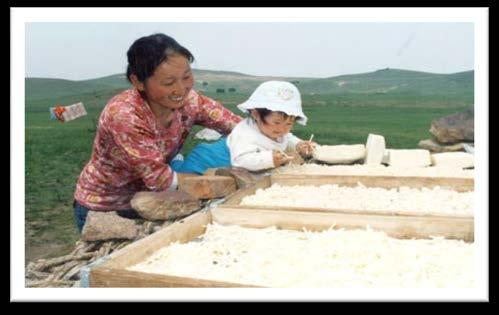 Specific features of Mongolian dairy products 1.