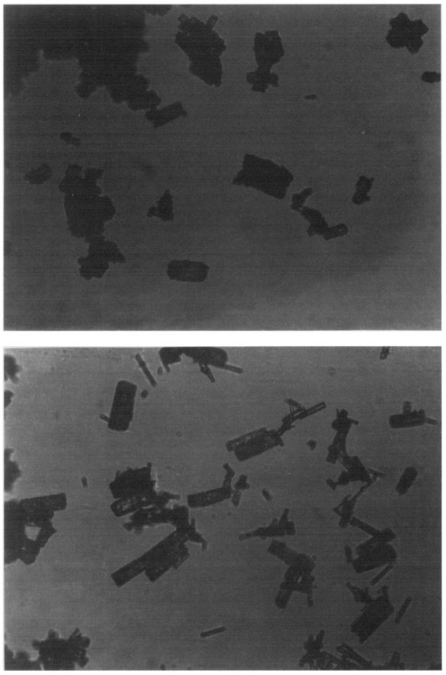 978 M R Anantharaman, K V Joseph and H V Keer Figure 2. Optical micrograph showing acicular ferrous oxalate dihydrate containing 2 and 4% of gadolinium.