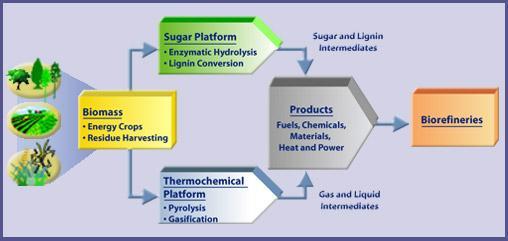 Chemicals from biomass by