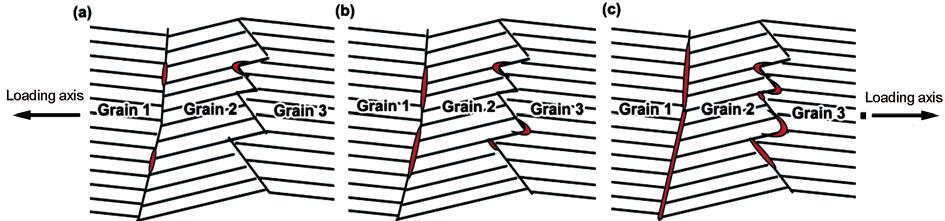 the lamellar interface, which is considered as the weakest juncture, as shown in Grain 1 of Fig. 5. The columnar grain boundaries can offer resistance to crack growth.