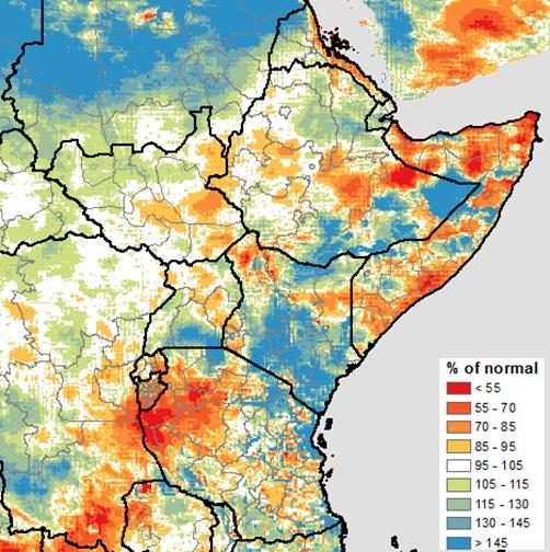 CURRENT MARKET TRENDS Aggregate cereal production June-to-September rainfall performed well for cereal crops (sorghum, millet, wheat maize) especially in Sudan, western and central Ethiopia, South