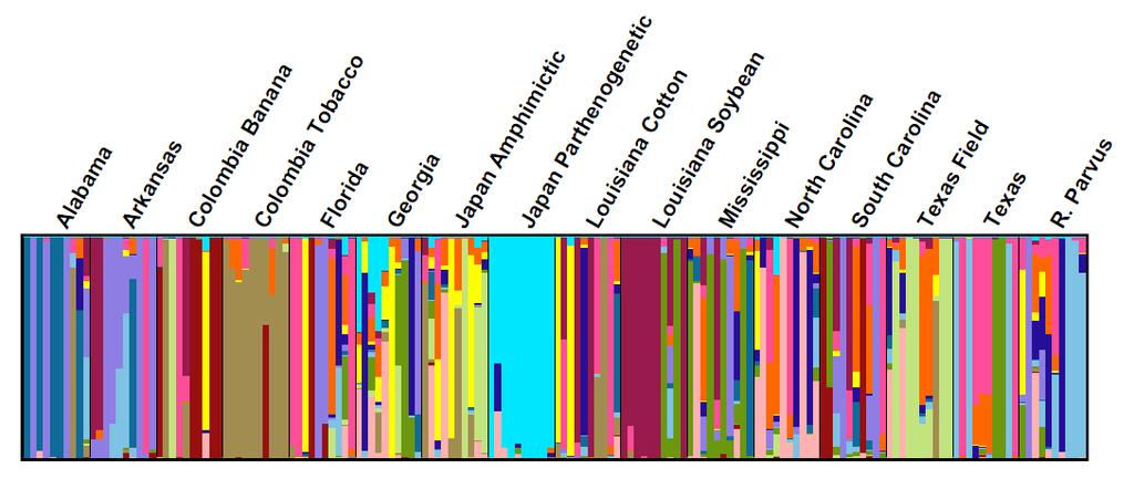 Figure 4.2. Graphical representation of haplotype similarity assignments at 10 microsatellite loci for 160 Rotylenchulus individuals at the best fit grouping number K=14.