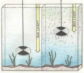 The salt content (salinity) of a water body is one of the main factors determining what organisms will be found there.