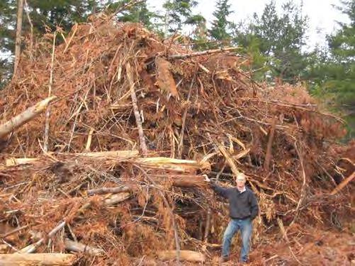 Forest Residues Logging