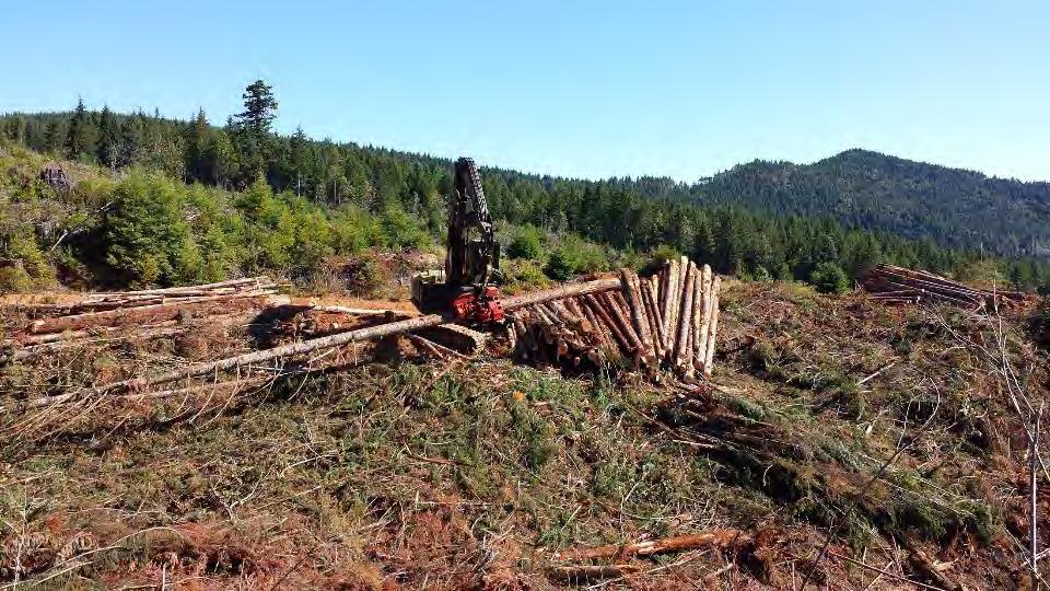 Sorting tree tops during timber harvesting