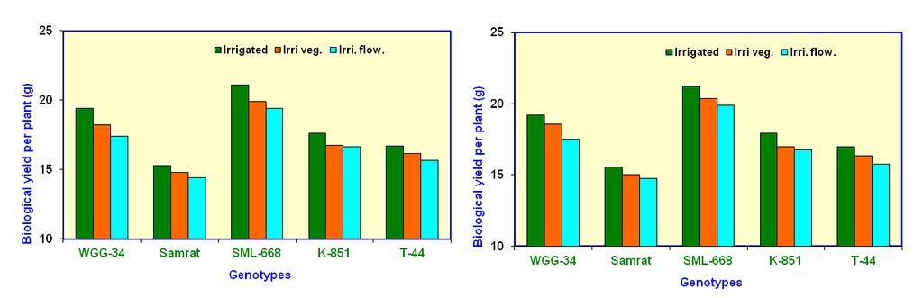 10 g/plant) during 2010 and 2011, respectively. (Figure 2).