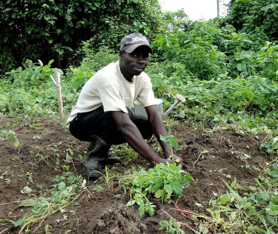 Organic Agriculture: An Important Contribution to the Long-Term Success of the Comprehensive African Agriculture Development Program The Context More than 70% of Africa s population is dependent on