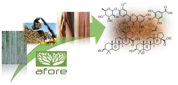 High value extractives from agro-forest residues High value triterpenic acids and phenolic compounds from E.